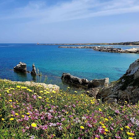 Azzurra Home Terrasini Dış mekan fotoğraf