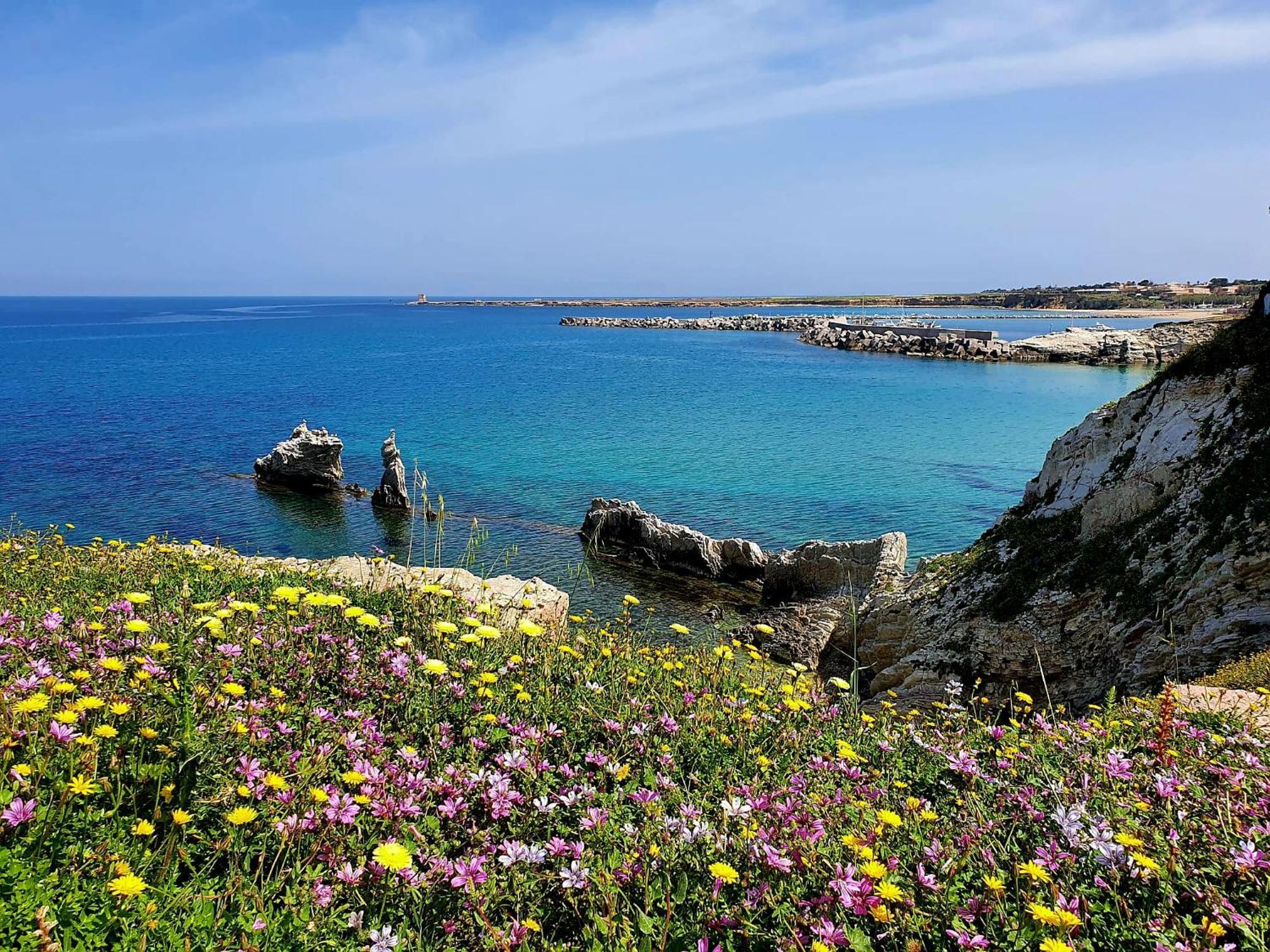 Azzurra Home Terrasini Dış mekan fotoğraf